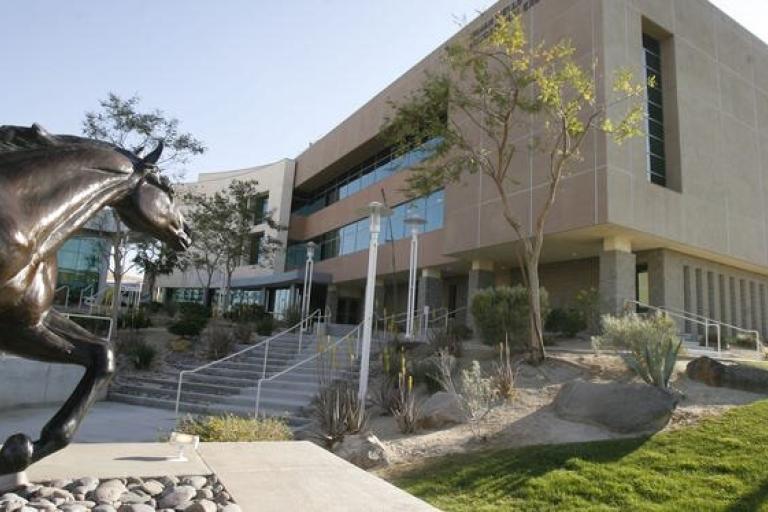 Palm Campus 3