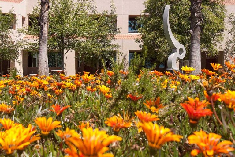 norcoCampus_flowers.jpg