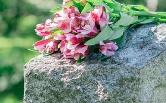 Flowers laying on a headstone