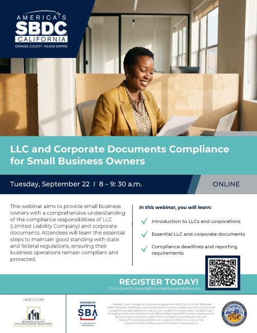 LLC and Corporate Documents Compliance Flyer